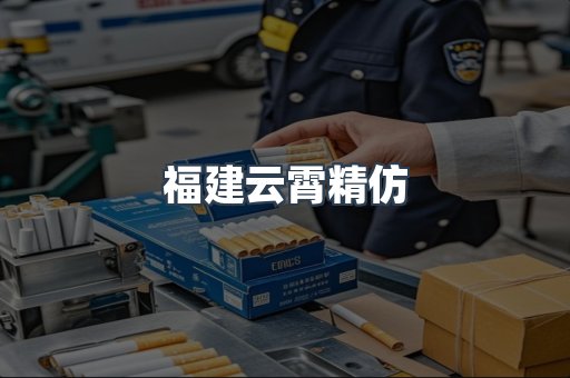 福建云霄精仿